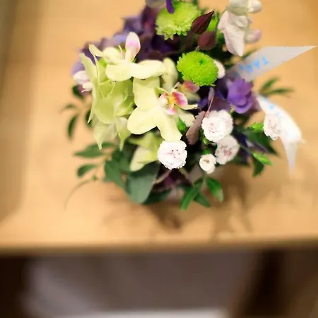 Lejlighed Laura's Smart