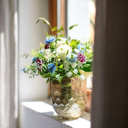 Lejlighed Laura's Smart