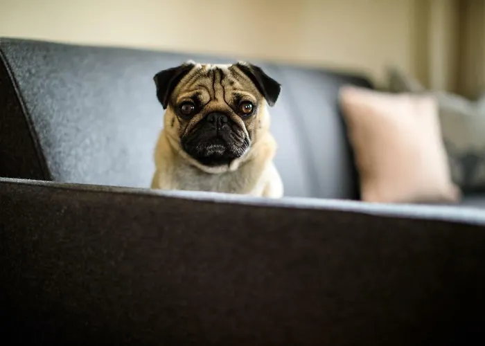 Laura's Smart شقة إنسبروك