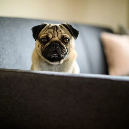 Laura's Smart 公寓 因斯布鲁克